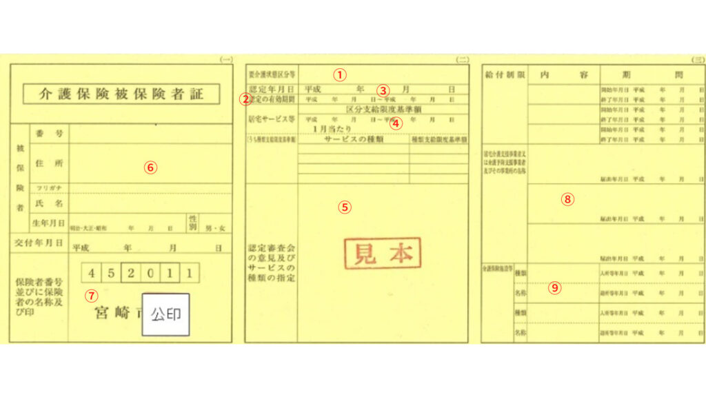 介護保険証の見本